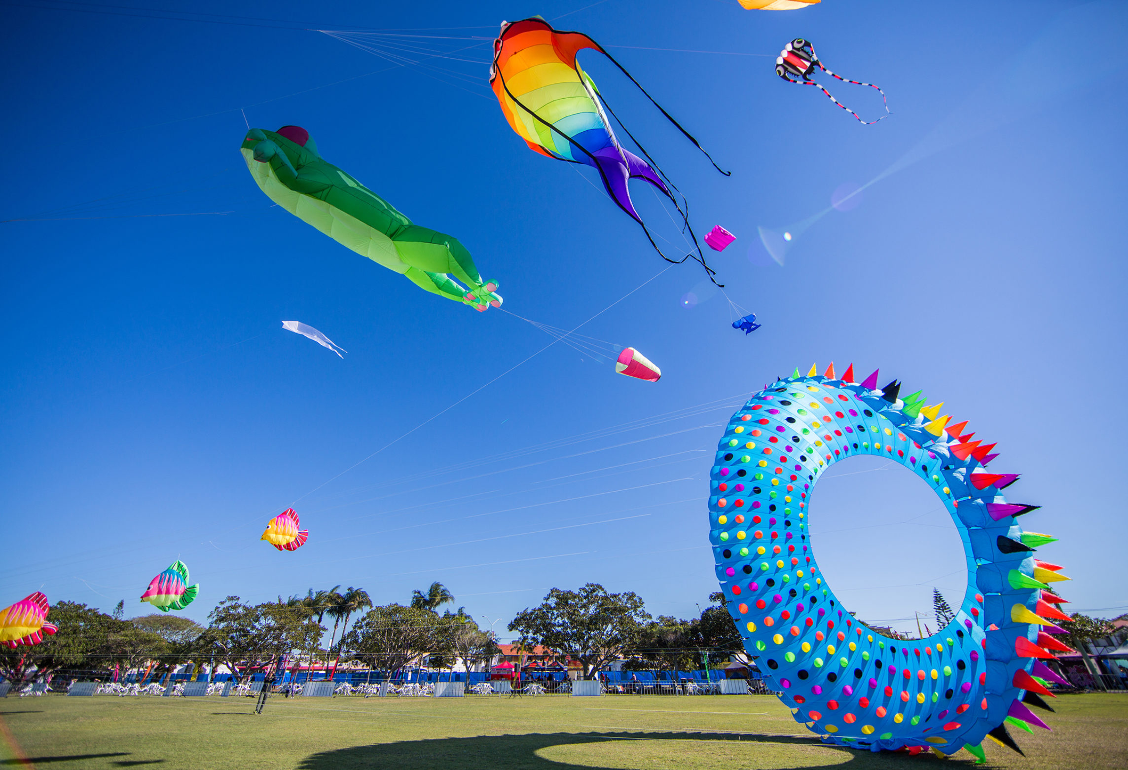 Redcliffe_Kitefest